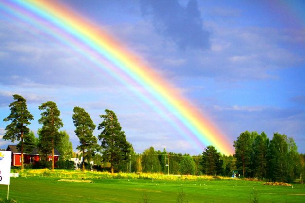 yard-rainbow